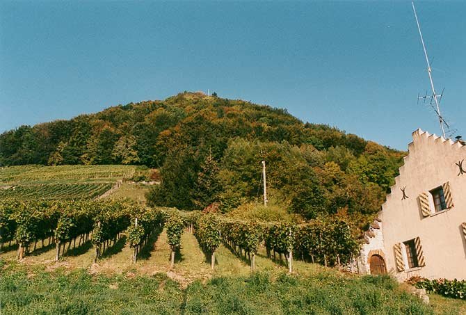 Fotoalbum / Villigen