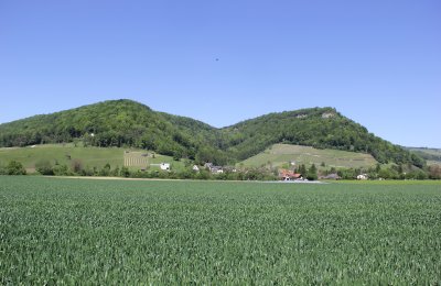 Bild 7