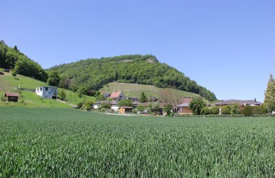 Bild 16