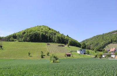 Bild 15