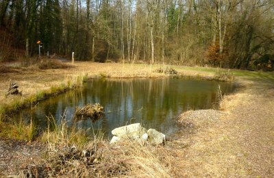 Bild 18