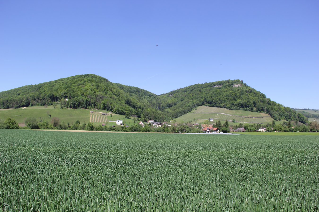 Fotoalbum / Villigen